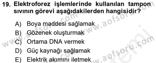 Temel Veteriner Genetik Dersi 2017 - 2018 Yılı (Final) Dönem Sonu Sınav Soruları 19. Soru