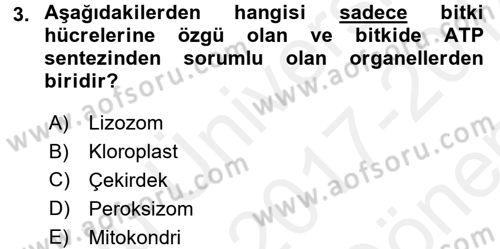 Temel Veteriner Genetik Dersi 2017 - 2018 Yılı (Final) Dönem Sonu Sınav Soruları 3. Soru