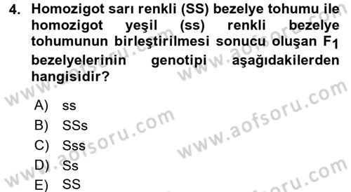 Temel Veteriner Genetik Dersi 2017 - 2018 Yılı (Final) Dönem Sonu Sınav Soruları 4. Soru