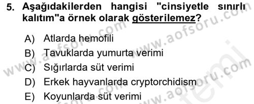 Temel Veteriner Genetik Dersi 2017 - 2018 Yılı (Final) Dönem Sonu Sınav Soruları 5. Soru