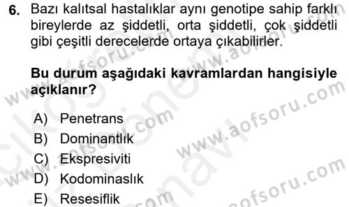 Temel Veteriner Genetik Dersi 2017 - 2018 Yılı (Final) Dönem Sonu Sınav Soruları 6. Soru