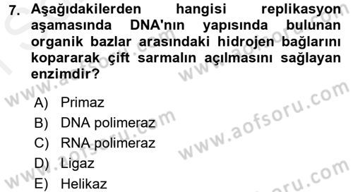 Temel Veteriner Genetik Dersi 2017 - 2018 Yılı (Final) Dönem Sonu Sınav Soruları 7. Soru