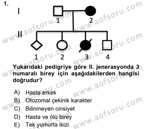 Temel Veteriner Genetik Dersi 2018 - 2019 Yılı 3 Ders Sınav Soruları 1. Soru