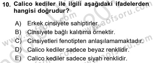 Temel Veteriner Genetik Dersi 2018 - 2019 Yılı 3 Ders Sınav Soruları 10. Soru