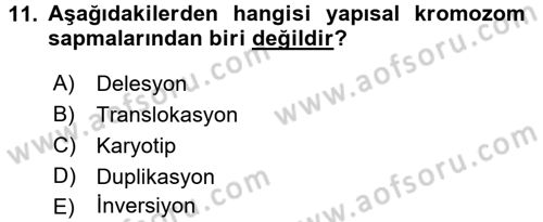 Temel Veteriner Genetik Dersi 2018 - 2019 Yılı 3 Ders Sınav Soruları 11. Soru