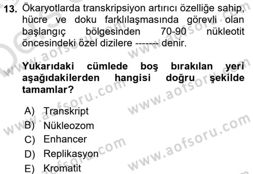 Temel Veteriner Genetik Dersi 2018 - 2019 Yılı 3 Ders Sınav Soruları 13. Soru