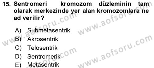 Temel Veteriner Genetik Dersi 2018 - 2019 Yılı 3 Ders Sınav Soruları 15. Soru