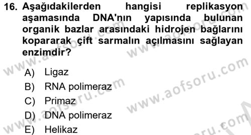 Temel Veteriner Genetik Dersi 2018 - 2019 Yılı 3 Ders Sınav Soruları 16. Soru