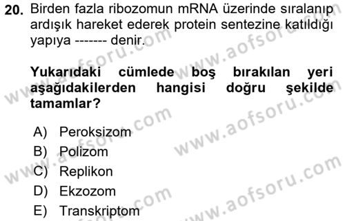 Temel Veteriner Genetik Dersi 2018 - 2019 Yılı 3 Ders Sınav Soruları 20. Soru