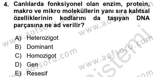 Temel Veteriner Genetik Dersi 2018 - 2019 Yılı 3 Ders Sınav Soruları 4. Soru