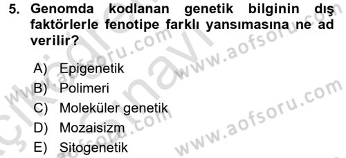 Temel Veteriner Genetik Dersi 2018 - 2019 Yılı 3 Ders Sınav Soruları 5. Soru