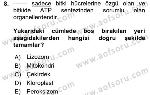Temel Veteriner Genetik Dersi 2018 - 2019 Yılı 3 Ders Sınav Soruları 8. Soru