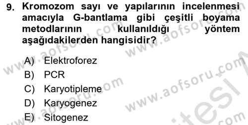 Temel Veteriner Genetik Dersi 2018 - 2019 Yılı 3 Ders Sınav Soruları 9. Soru