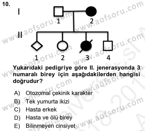 Temel Veteriner Genetik Dersi Ara Sınavı Deneme Sınav Soruları 10. Soru