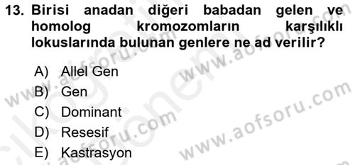 Temel Veteriner Genetik Dersi Ara Sınavı Deneme Sınav Soruları 13. Soru