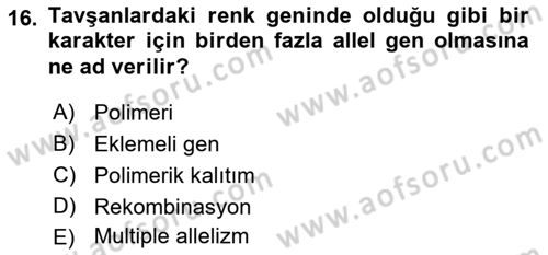 Temel Veteriner Genetik Dersi 2018 - 2019 Yılı (Vize) Ara Sınav Soruları 16. Soru