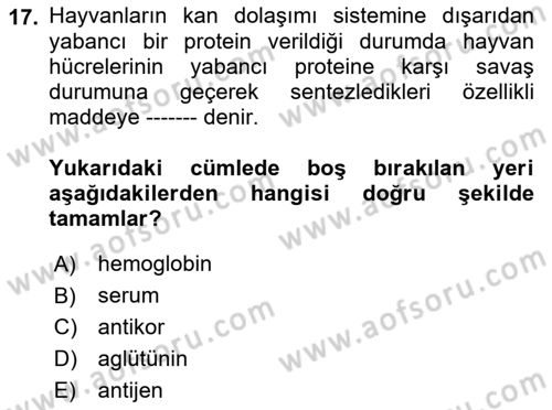 Temel Veteriner Genetik Dersi Ara Sınavı Deneme Sınav Soruları 17. Soru