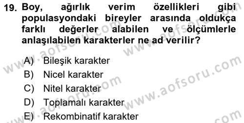 Temel Veteriner Genetik Dersi Ara Sınavı Deneme Sınav Soruları 19. Soru