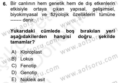 Temel Veteriner Genetik Dersi 2018 - 2019 Yılı (Vize) Ara Sınav Soruları 6. Soru