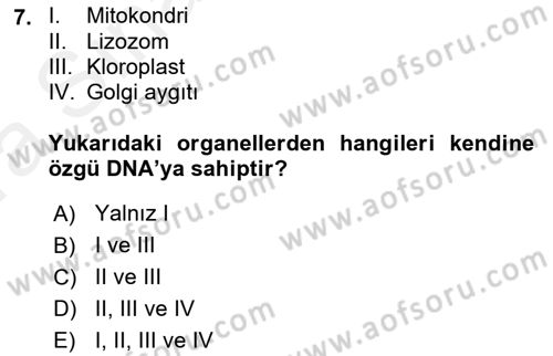 Temel Veteriner Genetik Dersi Ara Sınavı Deneme Sınav Soruları 7. Soru