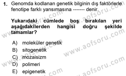 Temel Veteriner Genetik Dersi 2018 - 2019 Yılı (Final) Dönem Sonu Sınav Soruları 1. Soru