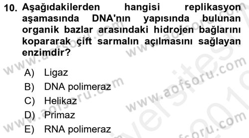Temel Veteriner Genetik Dersi 2018 - 2019 Yılı (Final) Dönem Sonu Sınav Soruları 10. Soru
