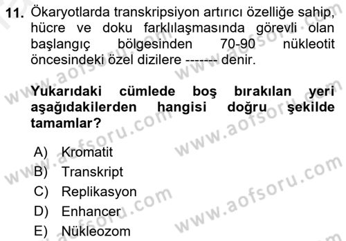 Temel Veteriner Genetik Dersi 2018 - 2019 Yılı (Final) Dönem Sonu Sınav Soruları 11. Soru