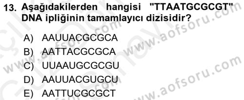 Temel Veteriner Genetik Dersi 2018 - 2019 Yılı (Final) Dönem Sonu Sınav Soruları 13. Soru