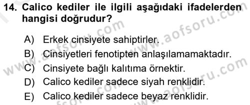 Temel Veteriner Genetik Dersi 2018 - 2019 Yılı (Final) Dönem Sonu Sınav Soruları 14. Soru