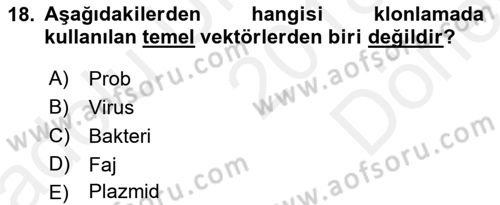 Temel Veteriner Genetik Dersi 2018 - 2019 Yılı (Final) Dönem Sonu Sınav Soruları 18. Soru