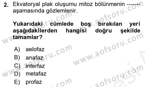 Temel Veteriner Genetik Dersi 2018 - 2019 Yılı (Final) Dönem Sonu Sınav Soruları 2. Soru