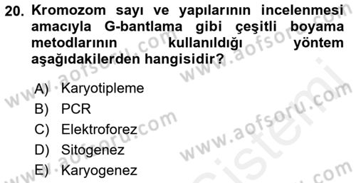 Temel Veteriner Genetik Dersi 2018 - 2019 Yılı (Final) Dönem Sonu Sınav Soruları 20. Soru