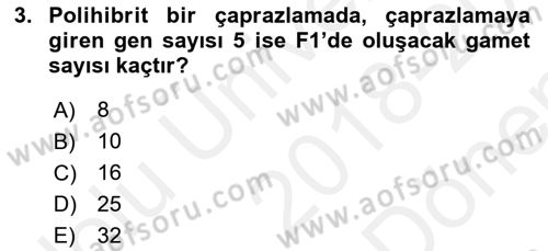Temel Veteriner Genetik Dersi 2018 - 2019 Yılı (Final) Dönem Sonu Sınav Soruları 3. Soru