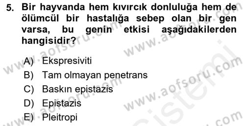 Temel Veteriner Genetik Dersi 2018 - 2019 Yılı (Final) Dönem Sonu Sınav Soruları 5. Soru