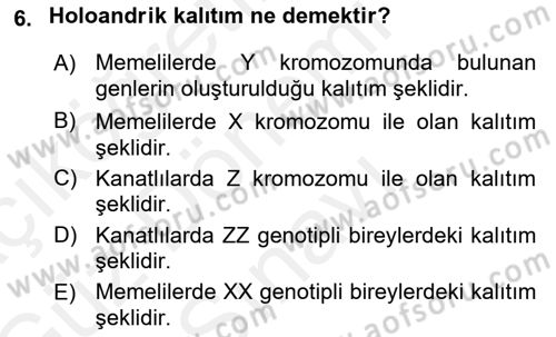 Temel Veteriner Genetik Dersi 2018 - 2019 Yılı (Final) Dönem Sonu Sınav Soruları 6. Soru