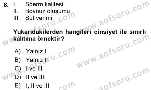 Temel Veteriner Genetik Dersi 2018 - 2019 Yılı (Final) Dönem Sonu Sınav Soruları 8. Soru