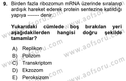 Temel Veteriner Genetik Dersi 2018 - 2019 Yılı (Final) Dönem Sonu Sınav Soruları 9. Soru