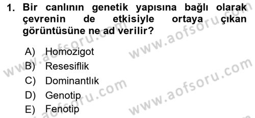 Temel Veteriner Genetik Dersi 2018 - 2019 Yılı Yaz Okulu Sınav Soruları 1. Soru