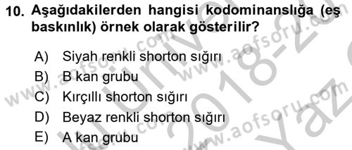 Temel Veteriner Genetik Dersi 2018 - 2019 Yılı Yaz Okulu Sınav Soruları 10. Soru