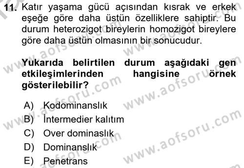 Temel Veteriner Genetik Dersi 2018 - 2019 Yılı Yaz Okulu Sınav Soruları 11. Soru