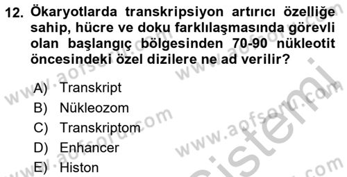 Temel Veteriner Genetik Dersi 2018 - 2019 Yılı Yaz Okulu Sınav Soruları 12. Soru