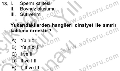 Temel Veteriner Genetik Dersi 2018 - 2019 Yılı Yaz Okulu Sınav Soruları 13. Soru