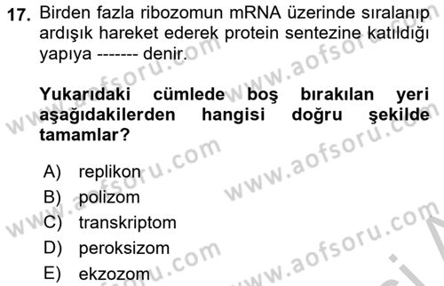 Temel Veteriner Genetik Dersi 2018 - 2019 Yılı Yaz Okulu Sınav Soruları 17. Soru