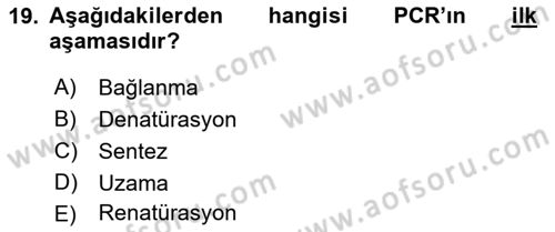 Temel Veteriner Genetik Dersi 2018 - 2019 Yılı Yaz Okulu Sınav Soruları 19. Soru