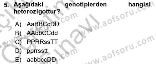 Temel Veteriner Genetik Dersi 2018 - 2019 Yılı Yaz Okulu Sınav Soruları 5. Soru