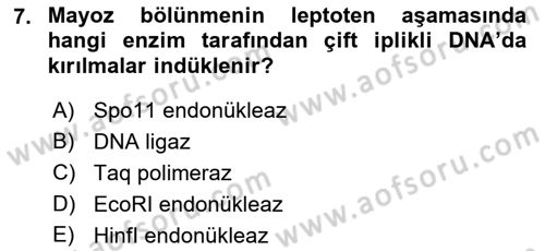 Temel Veteriner Genetik Dersi 2018 - 2019 Yılı Yaz Okulu Sınav Soruları 7. Soru