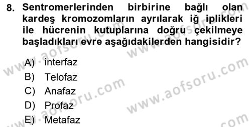 Temel Veteriner Genetik Dersi 2018 - 2019 Yılı Yaz Okulu Sınav Soruları 8. Soru