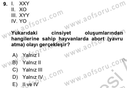 Temel Veteriner Genetik Dersi 2018 - 2019 Yılı Yaz Okulu Sınav Soruları 9. Soru