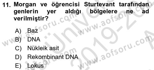 Temel Veteriner Genetik Dersi 2019 - 2020 Yılı (Vize) Ara Sınavı 11. Soru