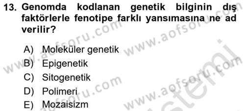 Temel Veteriner Genetik Dersi Ara Sınavı Deneme Sınav Soruları 13. Soru